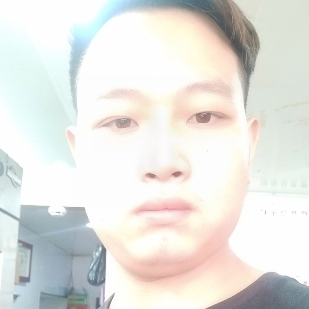 犀牛凝眸坦率的照片