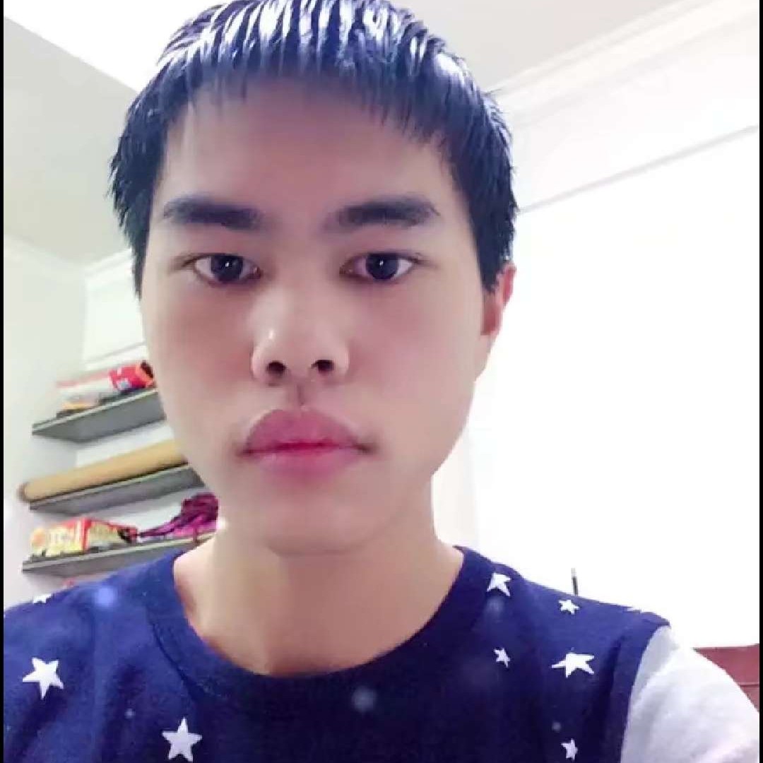烂漫邂逅斑马的照片