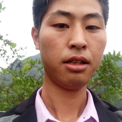 暂一场的照片