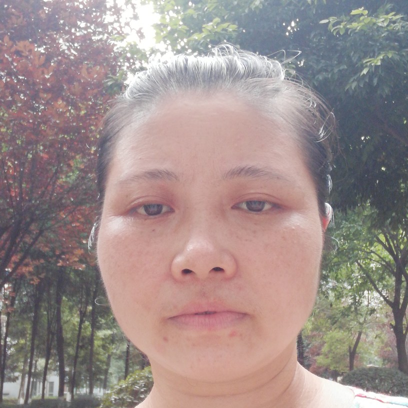雁飞海南的照片