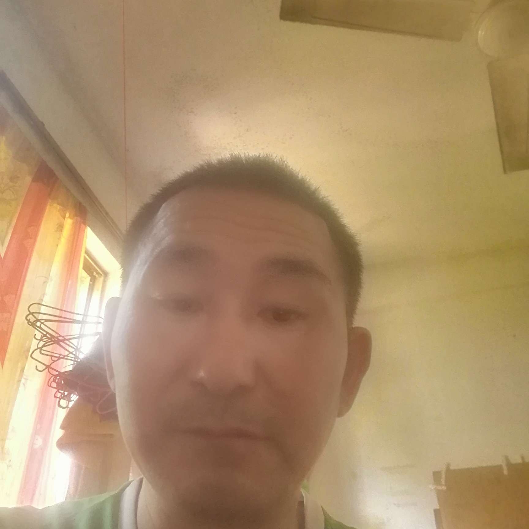小鸭子回眸温婉的照片