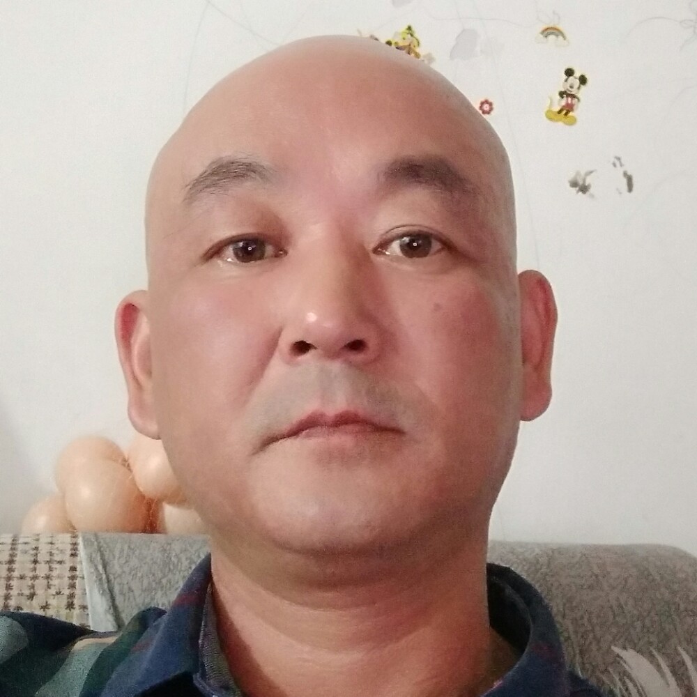 鸭子落寂的照片