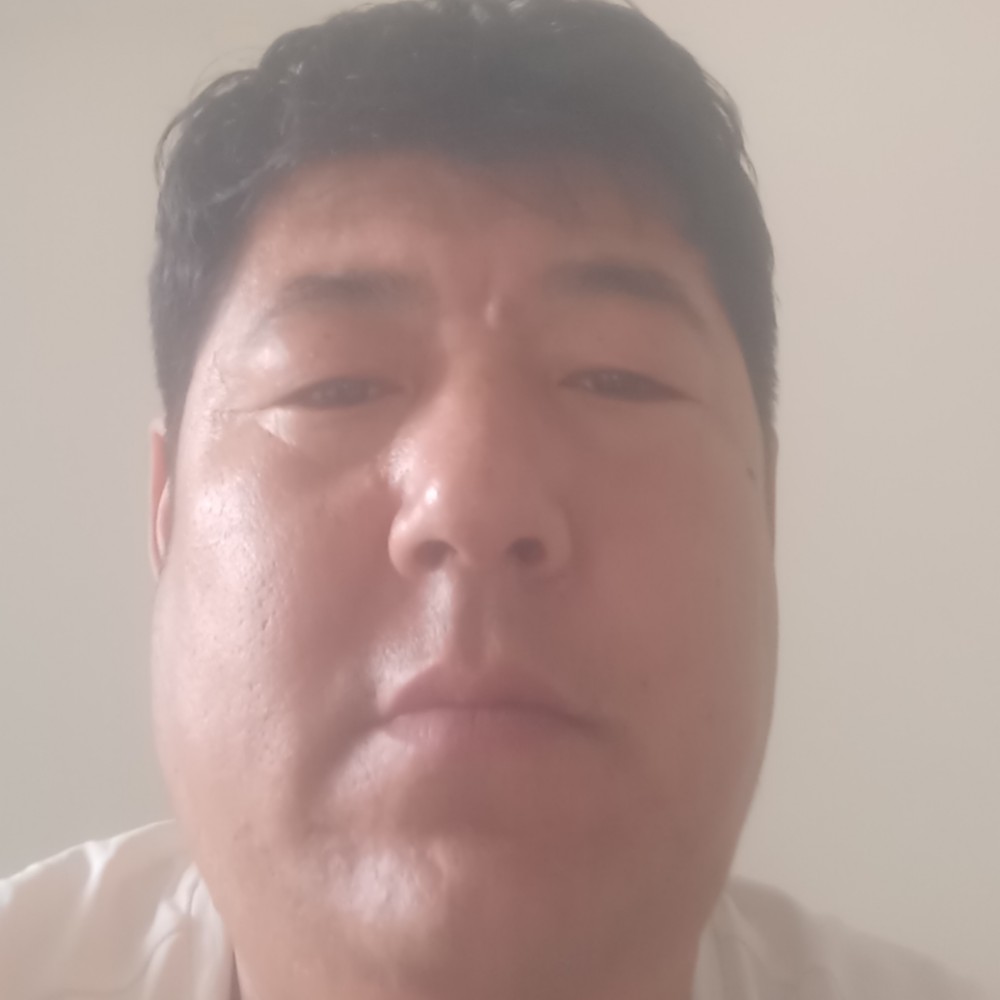 玫瑰拿柔弱的照片