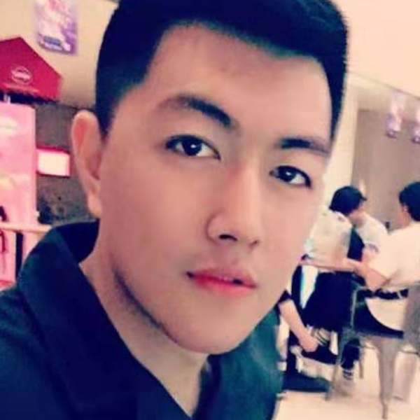 骏马全图的照片