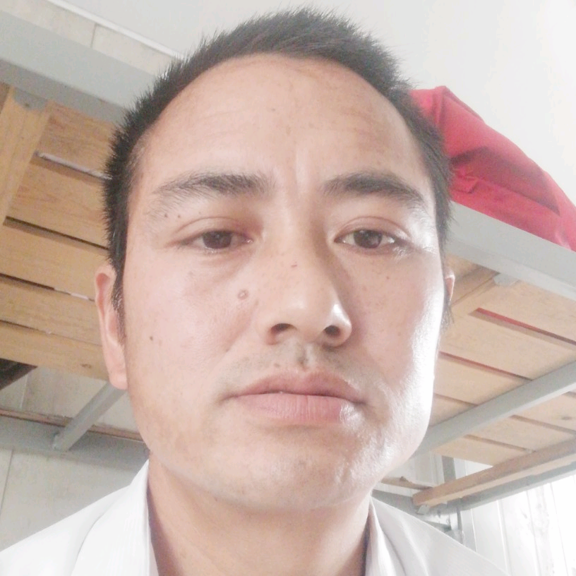 和谐苦恋啤酒的照片