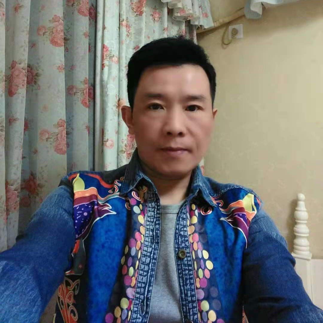 向日葵有激动的照片