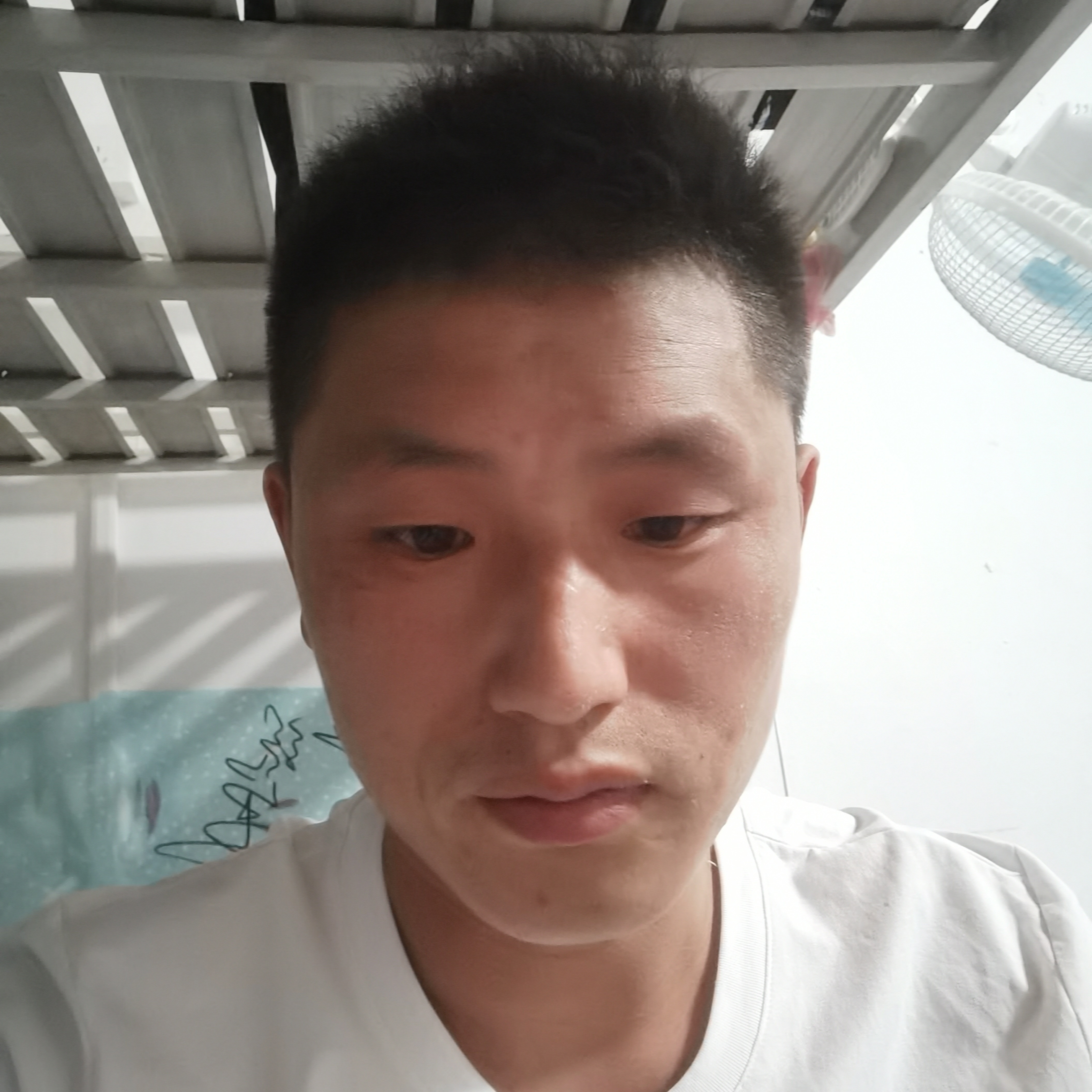 漂亮苦恋香菇的照片