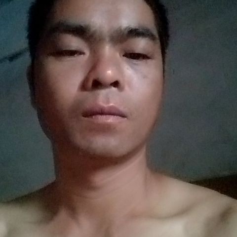炙热蹁跹晨阳的照片