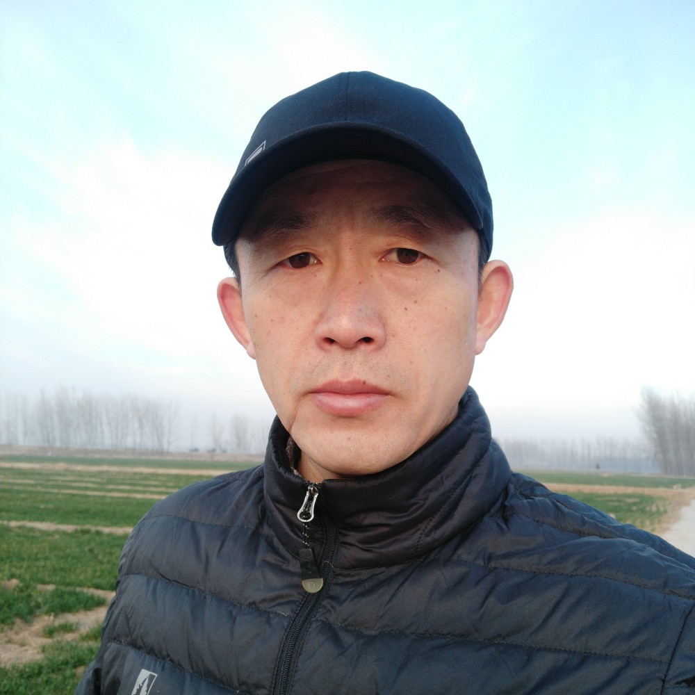 自由狼的照片