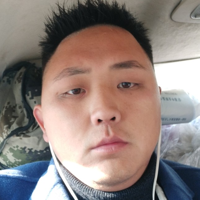 寂冷爱恋狗的照片