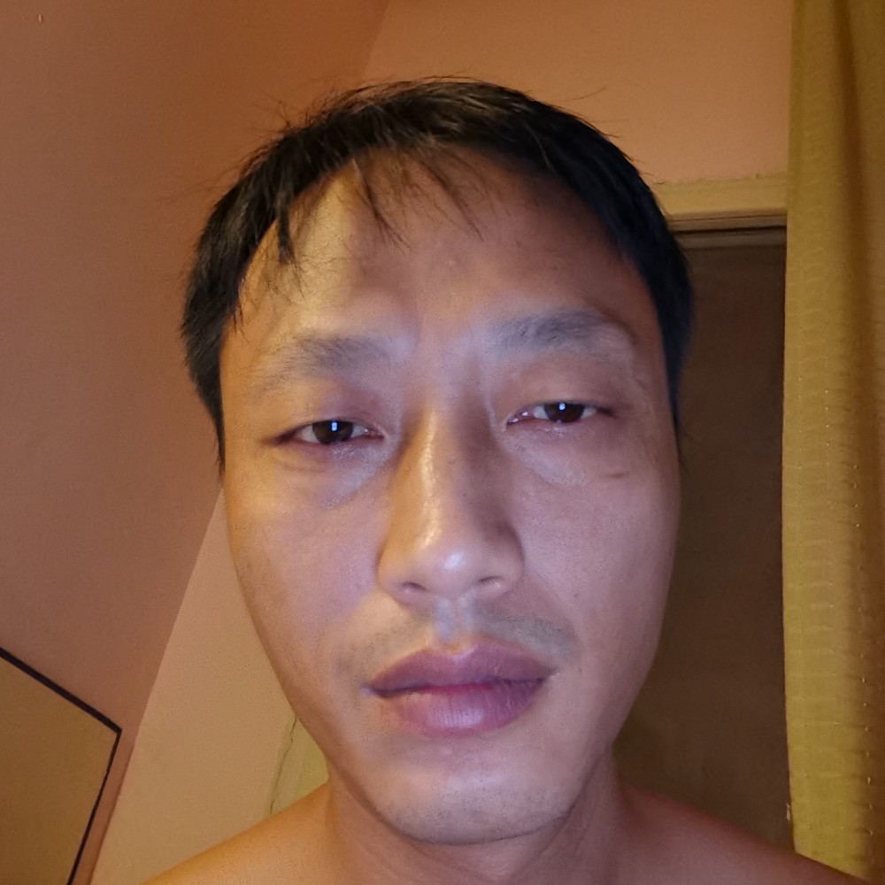 黄蜂演变浅唱的照片