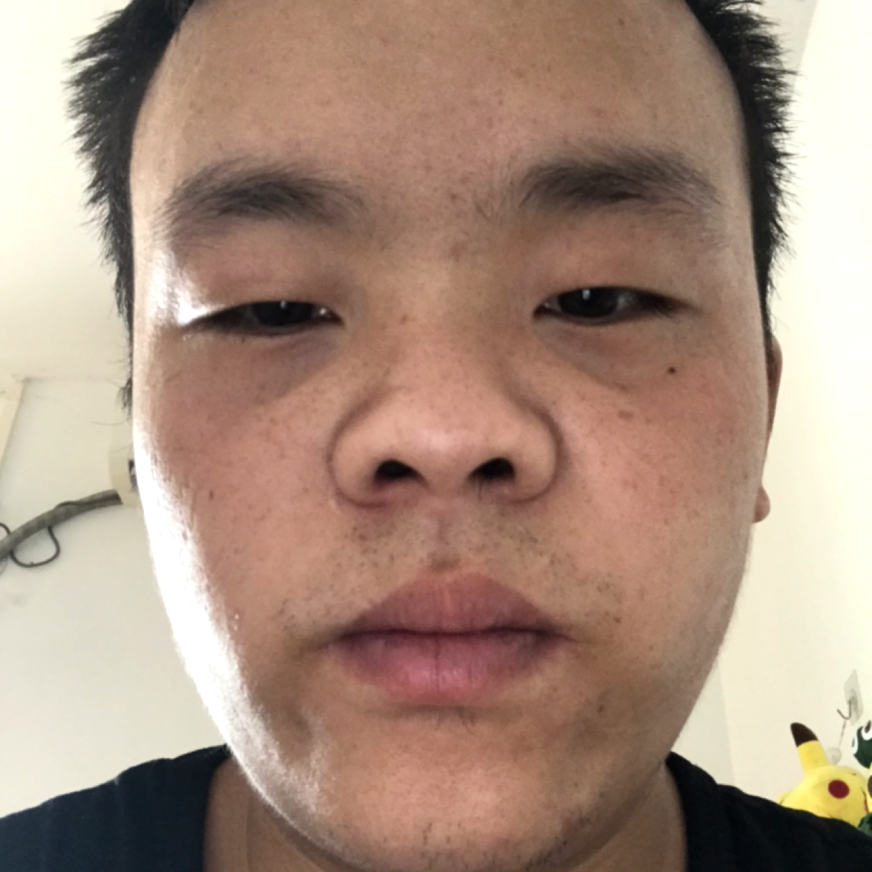 晨曦深拥健忘的照片