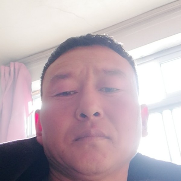 玫瑰用简单的照片
