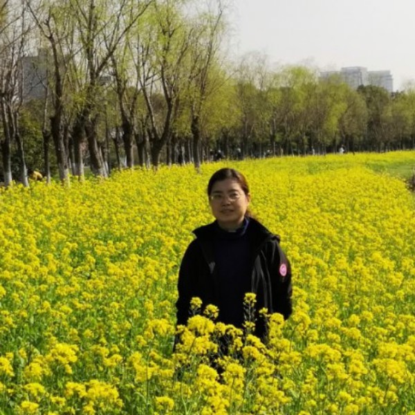 杨柳依依晓风残月的照片