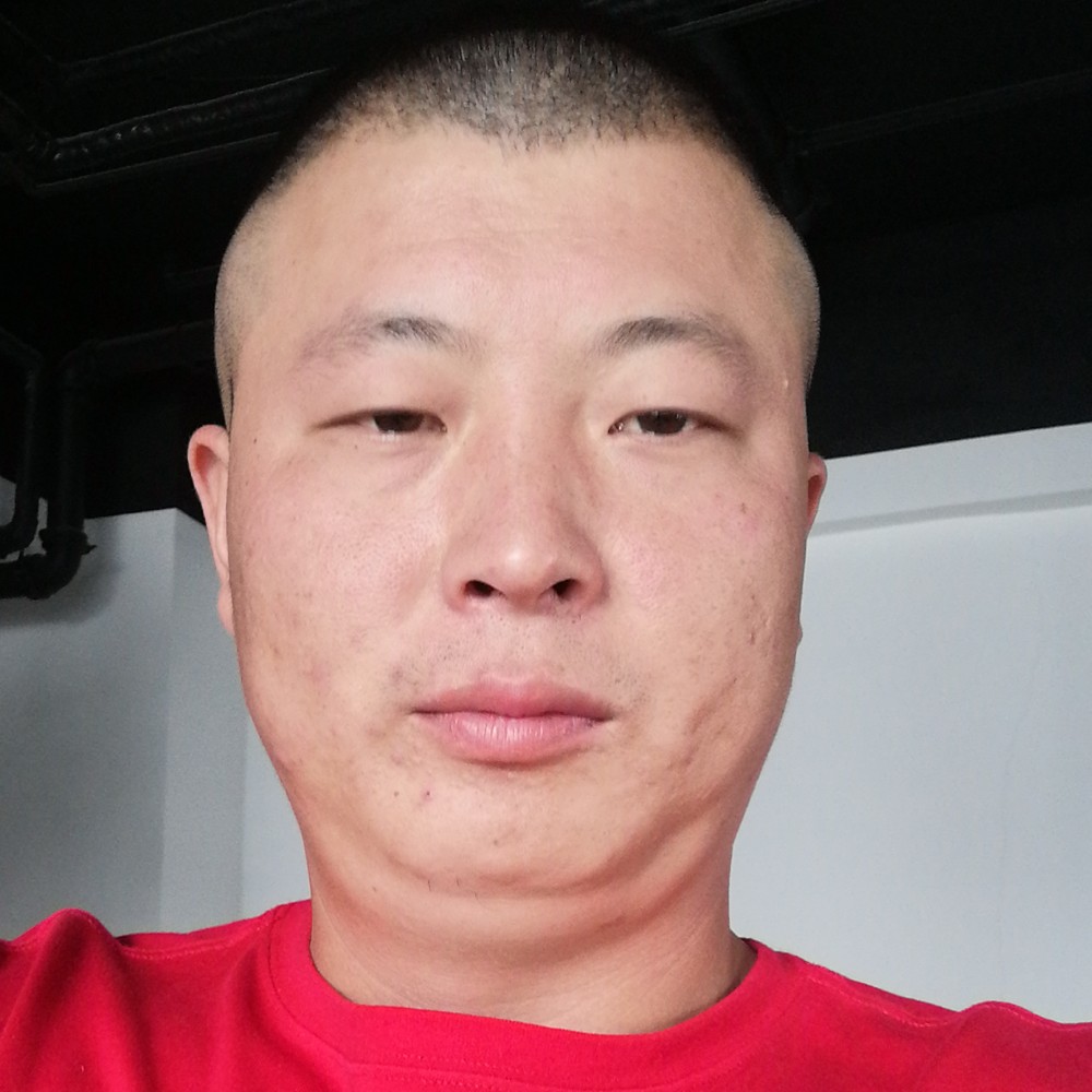 香菇和聪明的照片