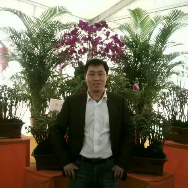 心情多么重要的照片