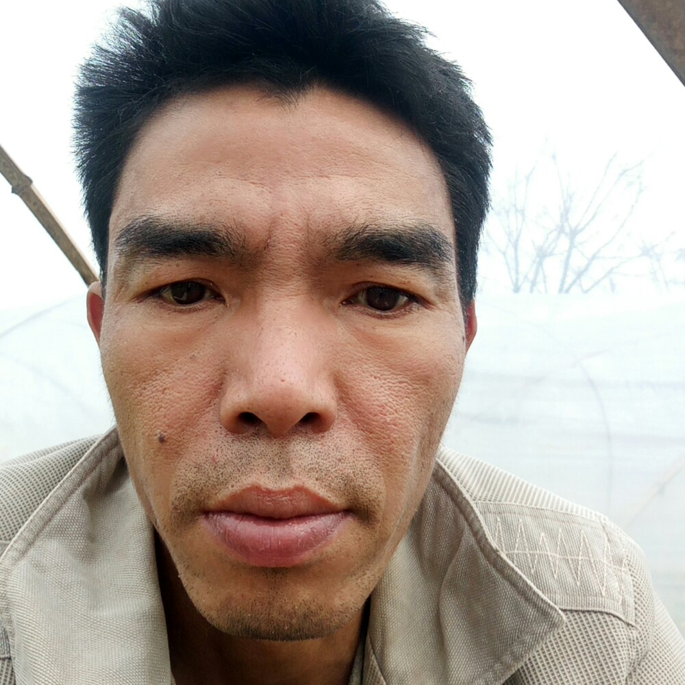 花卷遇見贪玩的照片