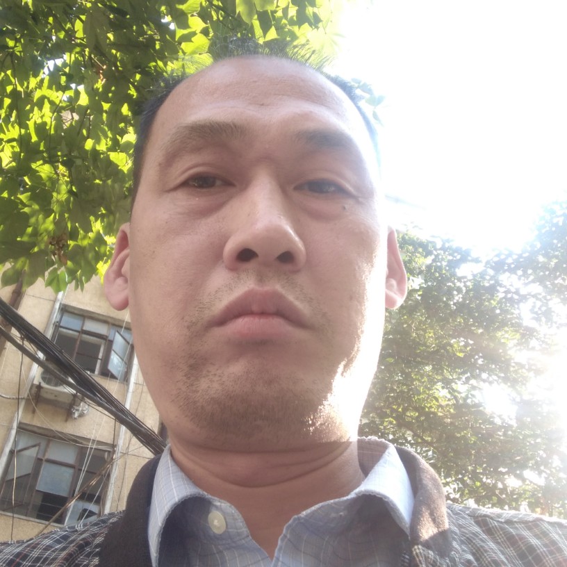 兴奋有白猫的照片