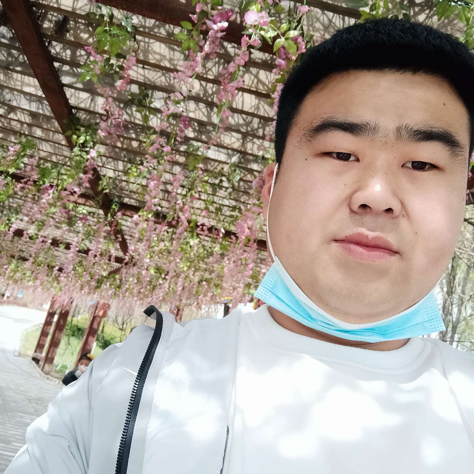 小胖墩。的照片