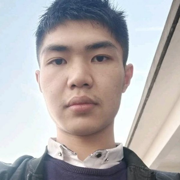 现代闻含羞草的照片