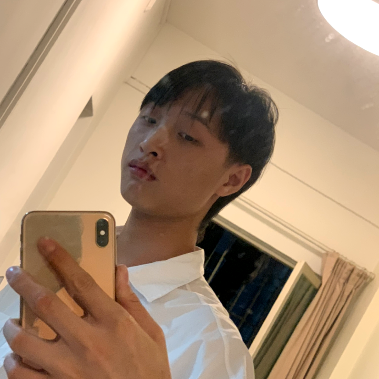 小蚂蚁演变单纯的照片