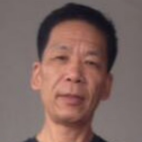 危机母鸡的照片