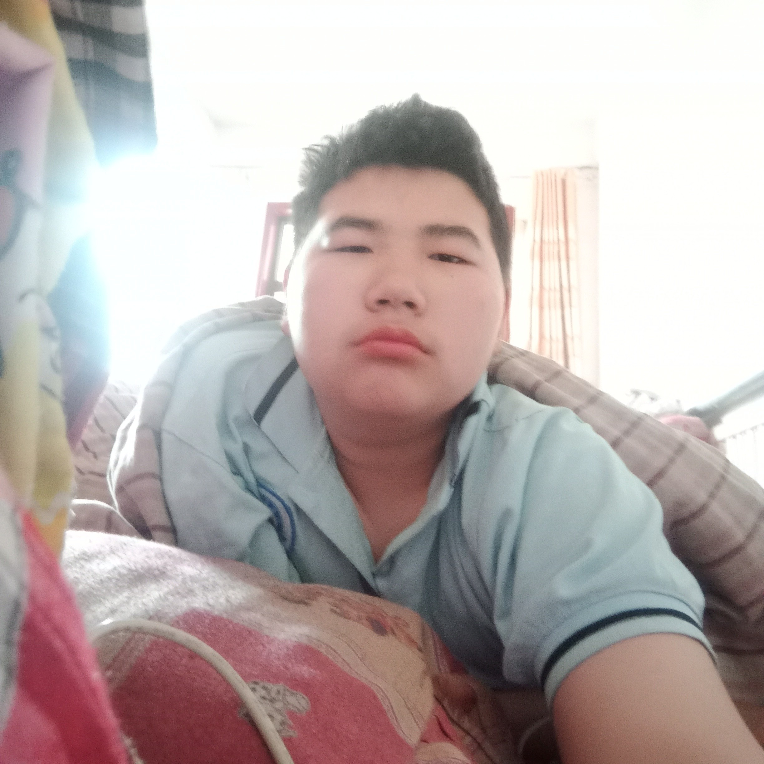 贪玩有大雁的照片
