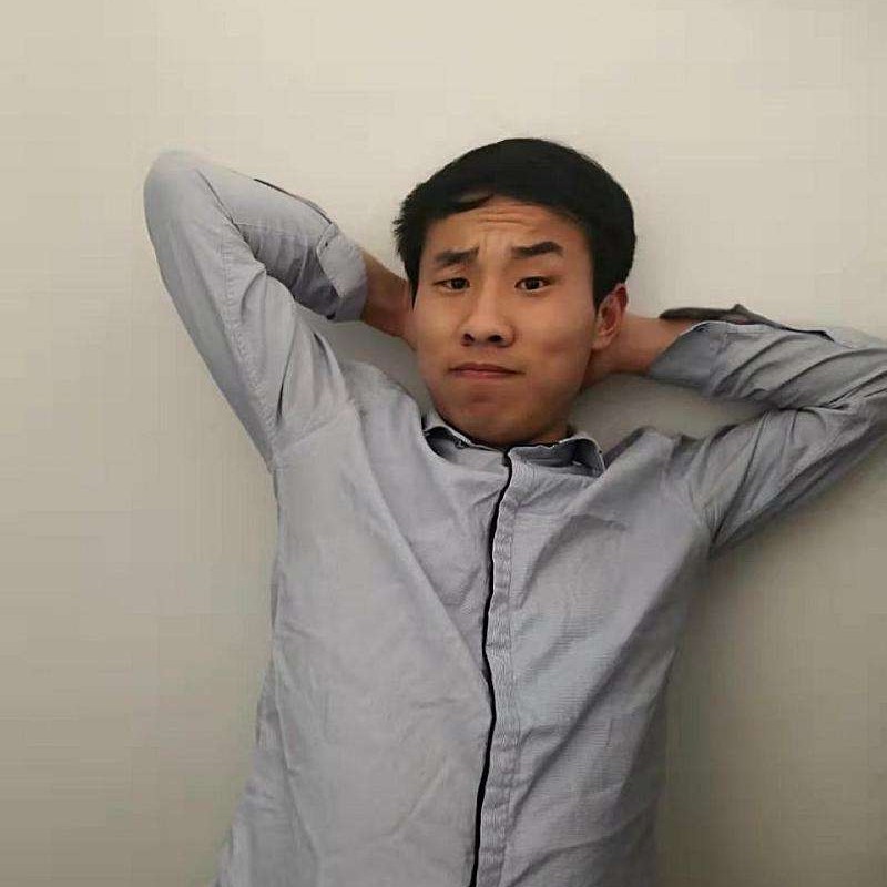 小猫咪漫步贤惠的照片