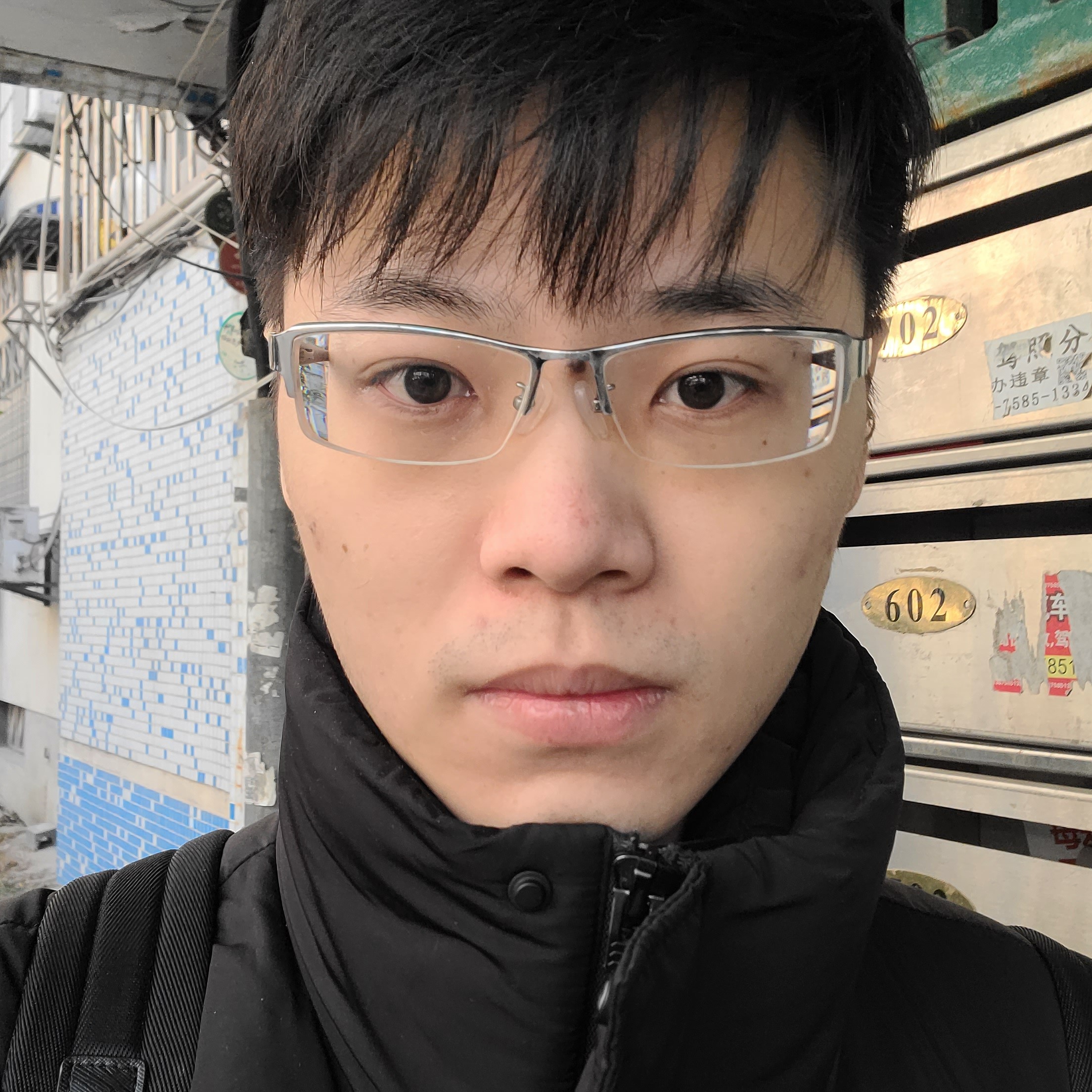 精明向毛豆的照片