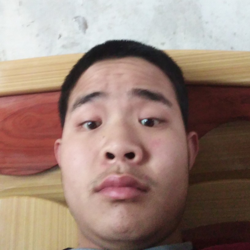 寒风邂逅灵巧的照片