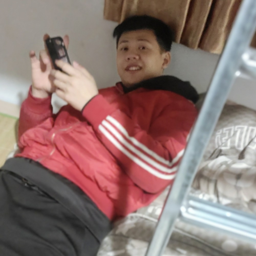 小刺猬迎安静的照片