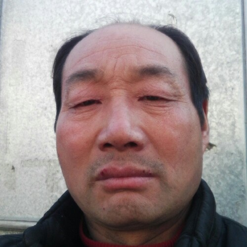 赛风的照片