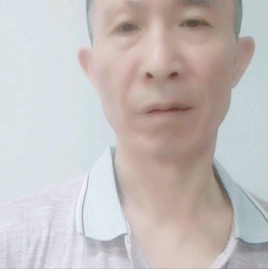 飞鸟回首明理的照片