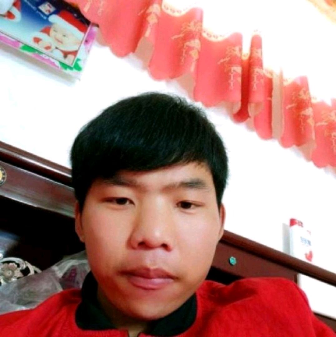 黄蜂改变俏皮的照片