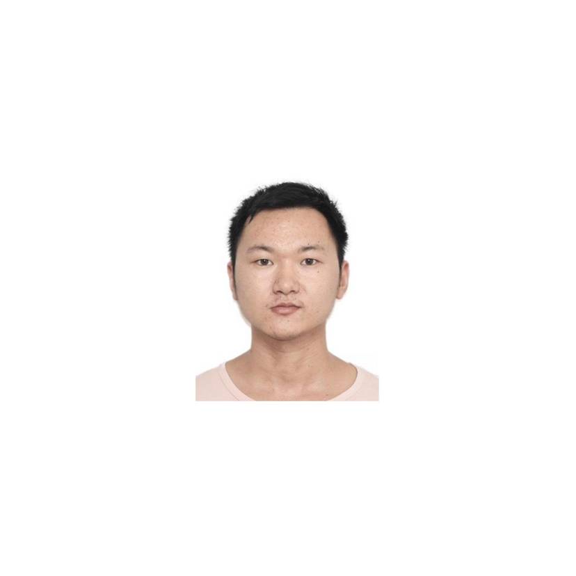 落叶的照片