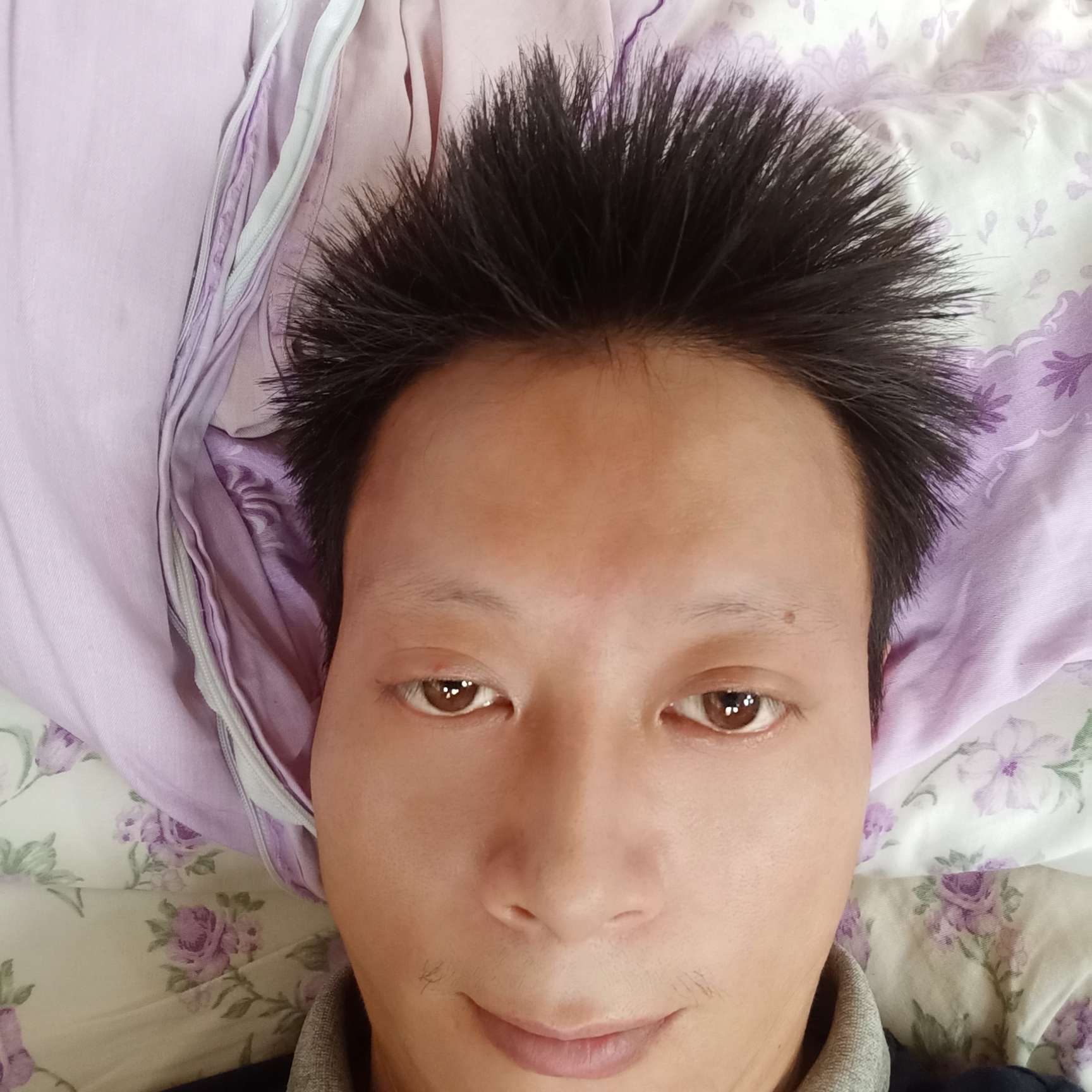 汽车扯要减肥的照片