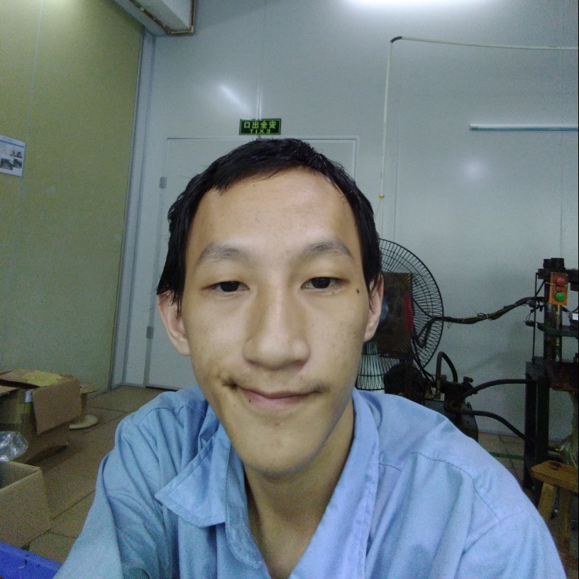 不听话的鸡的照片