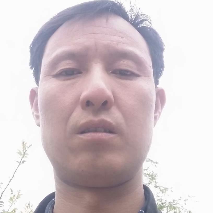 鱼黯然的照片