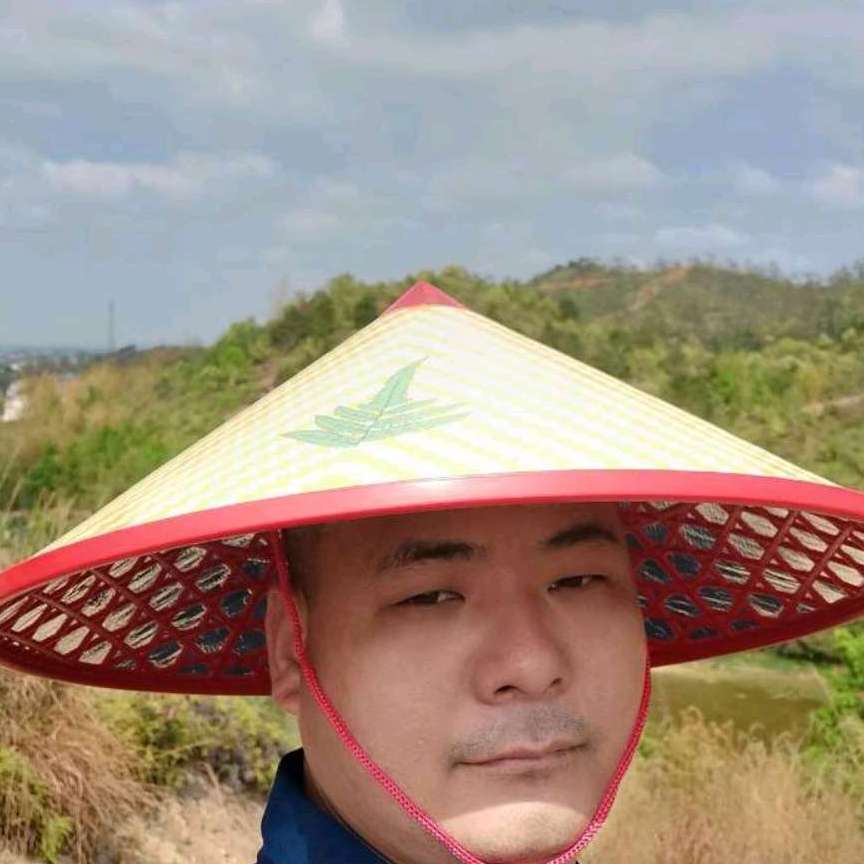 小蚂蚁的落寂的照片