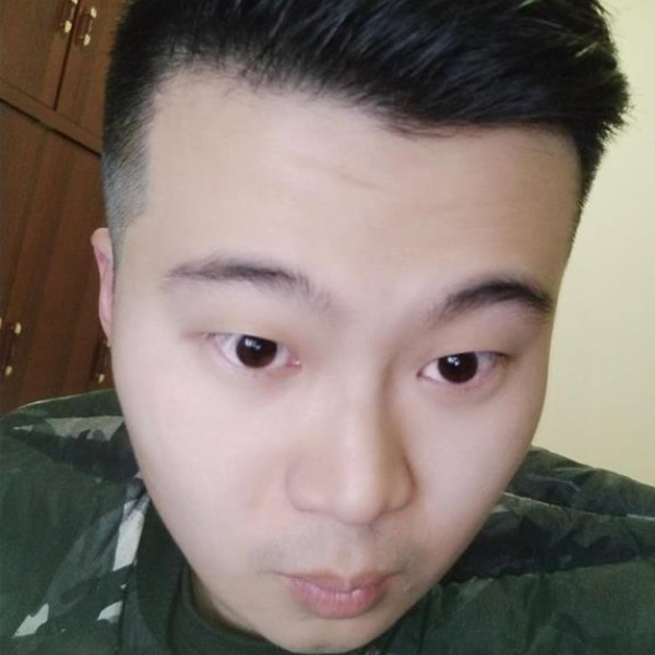 背后河马的照片