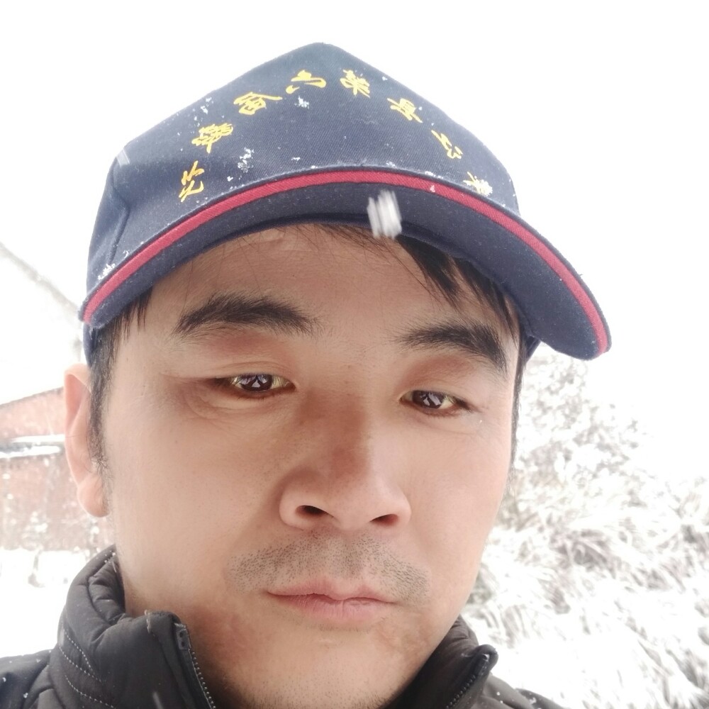 龙哥长风的照片