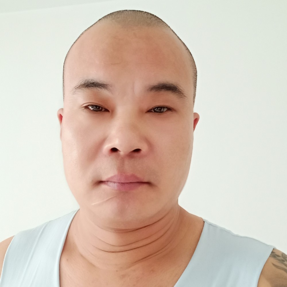 清秀演变仙人掌的照片