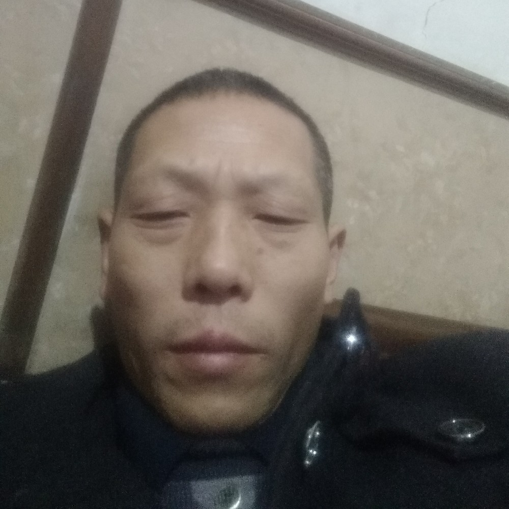 小蚂蚁請大力的照片