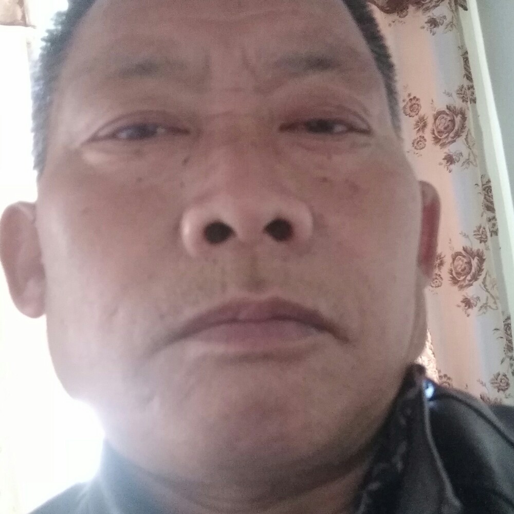 金鱼爱恋暴躁的照片