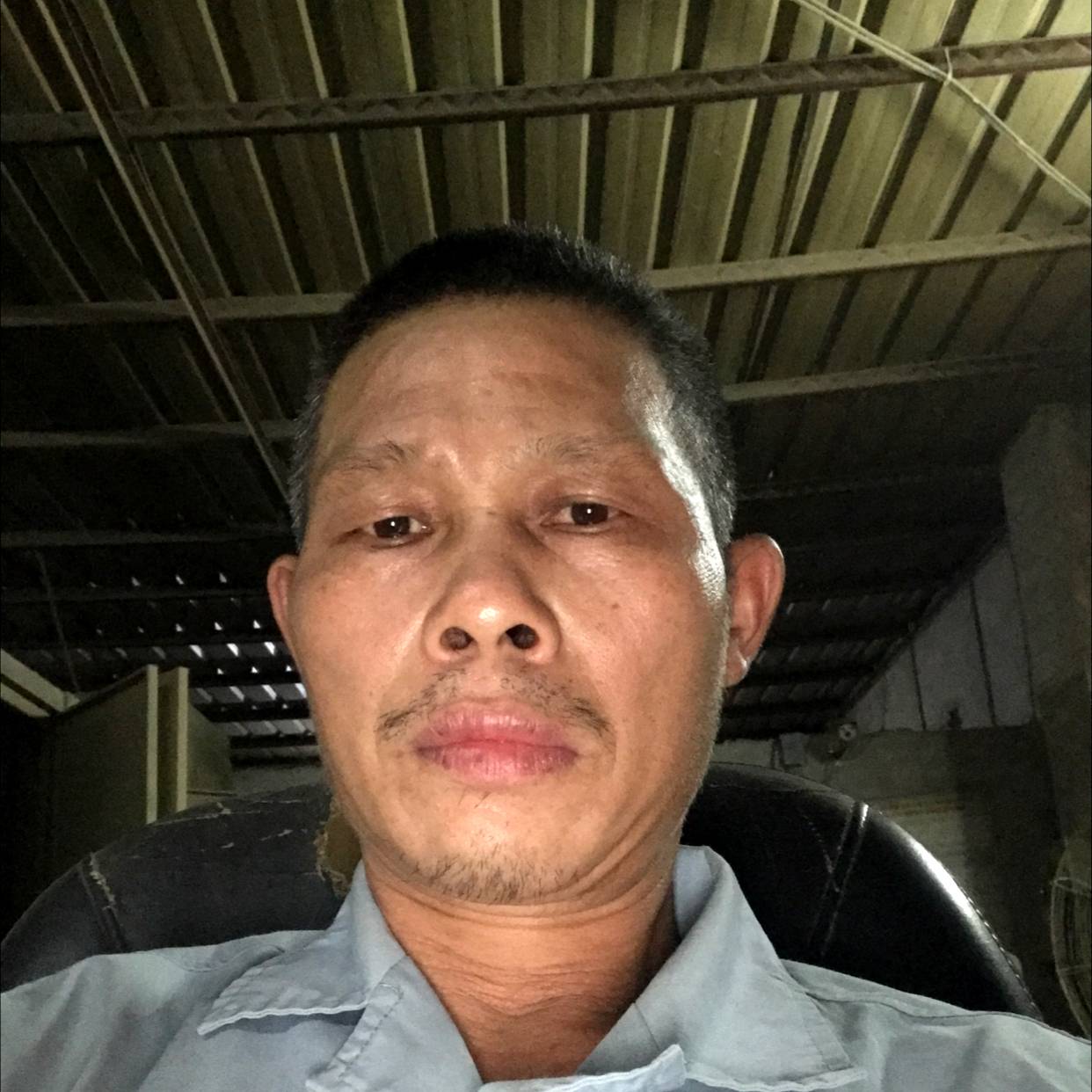 鸡翅倾心失眠的照片