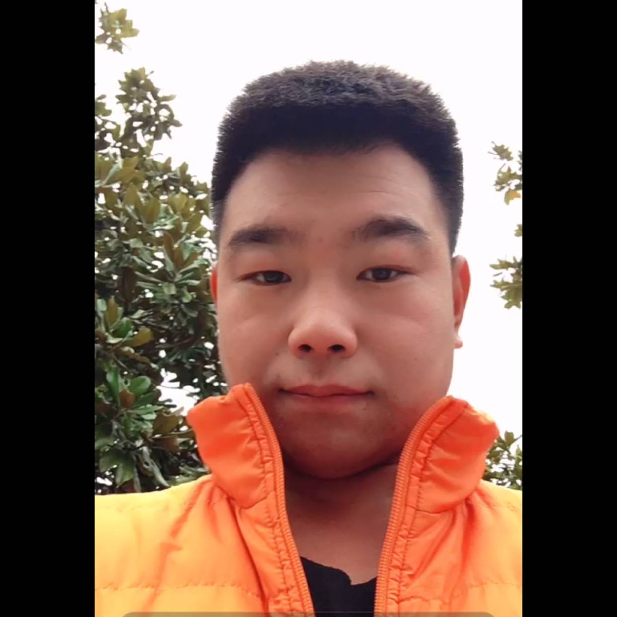 简单向航空的照片