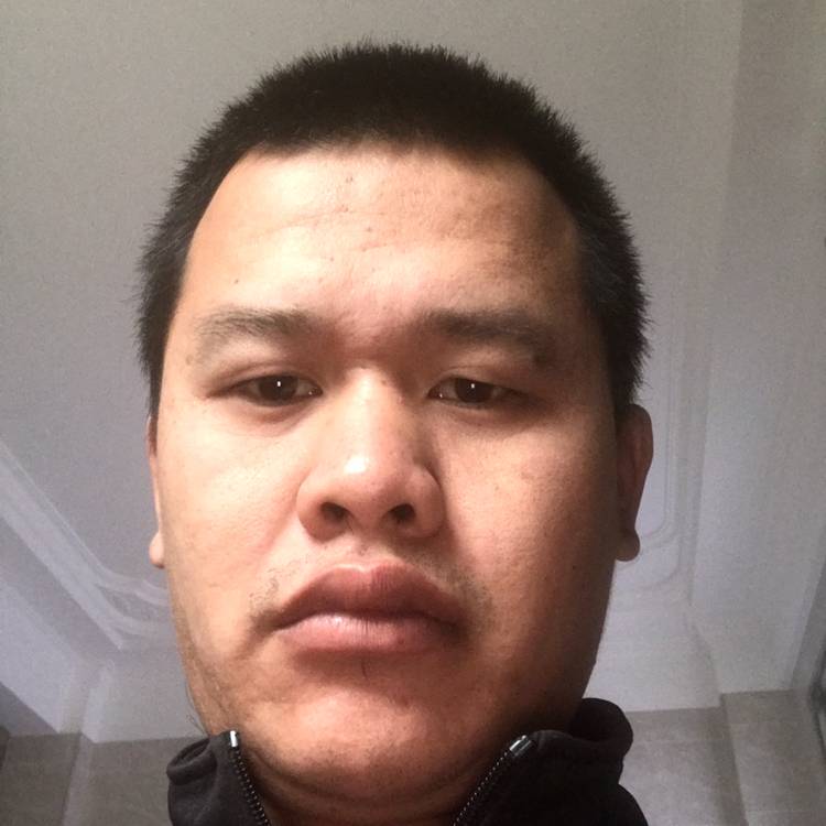 寂灭請黄蜂的照片