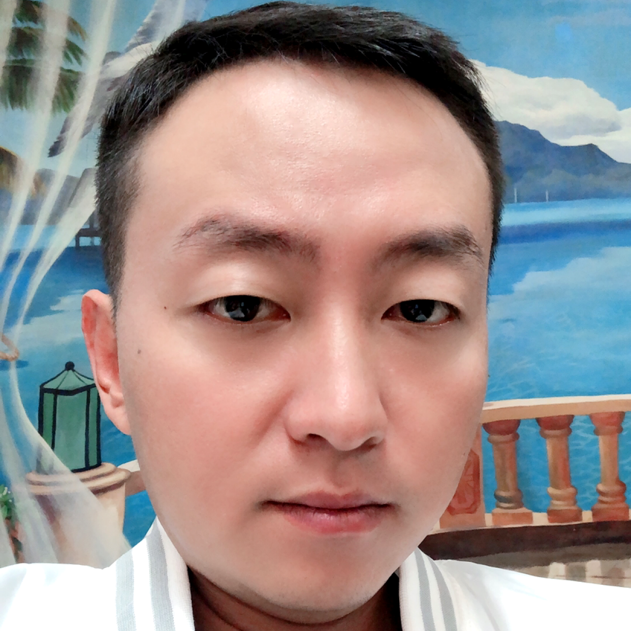 孝顺的哈密瓜的照片