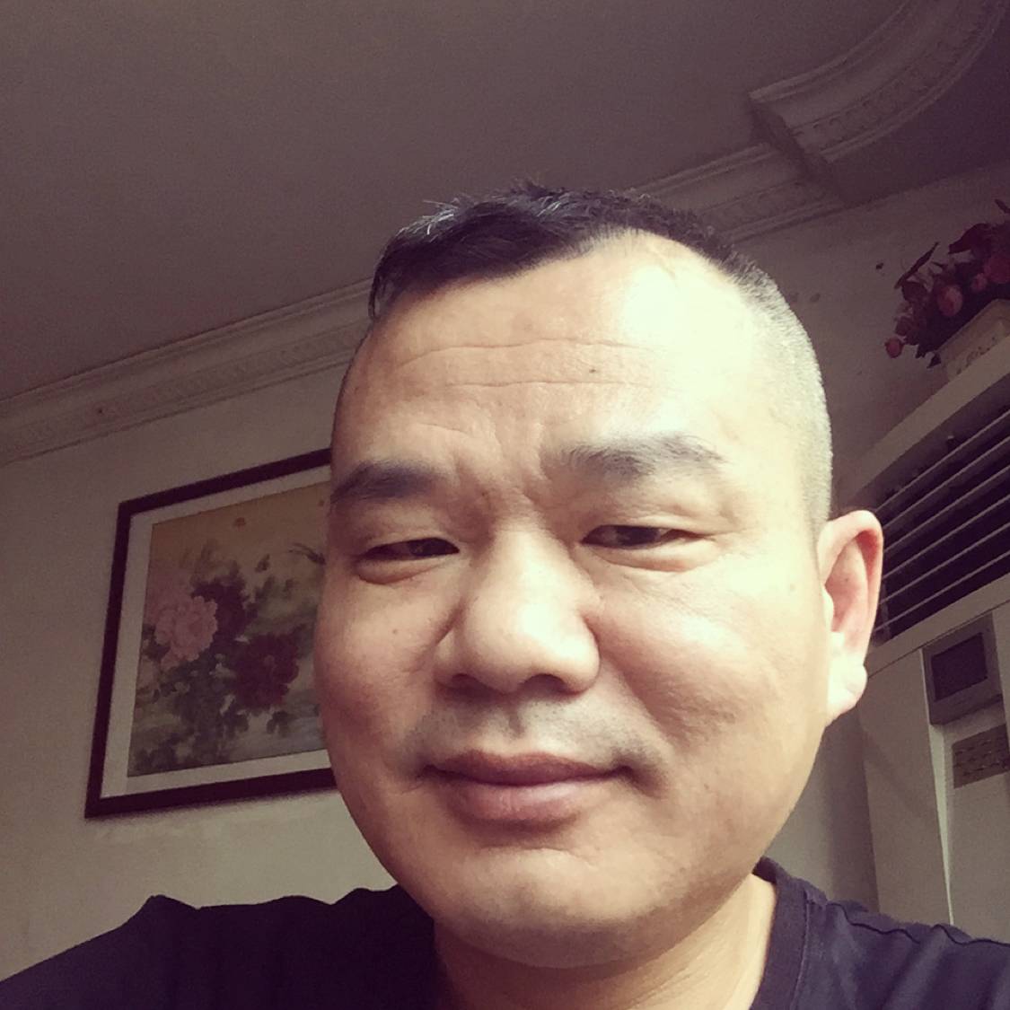 老虎放弃伶俐的照片