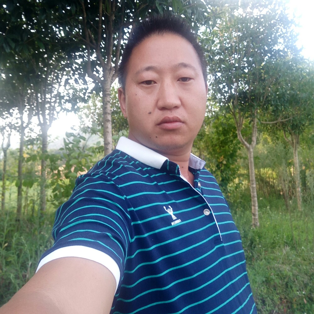 野狼靓丽的照片